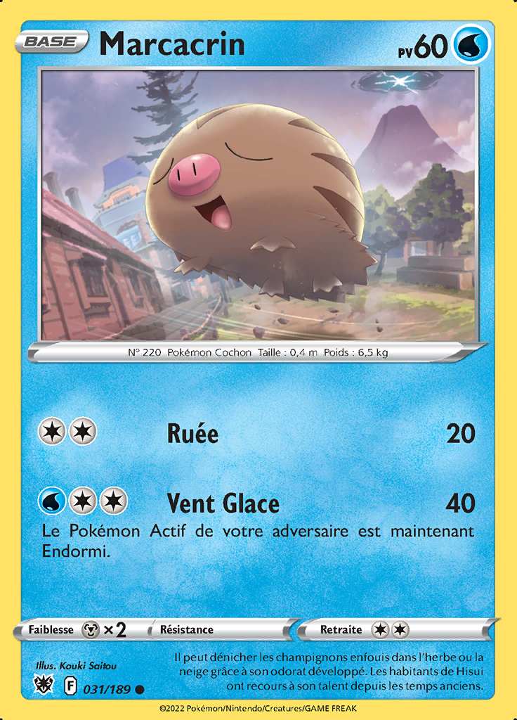 Marcacrin 031/189 — Astres Radieux
