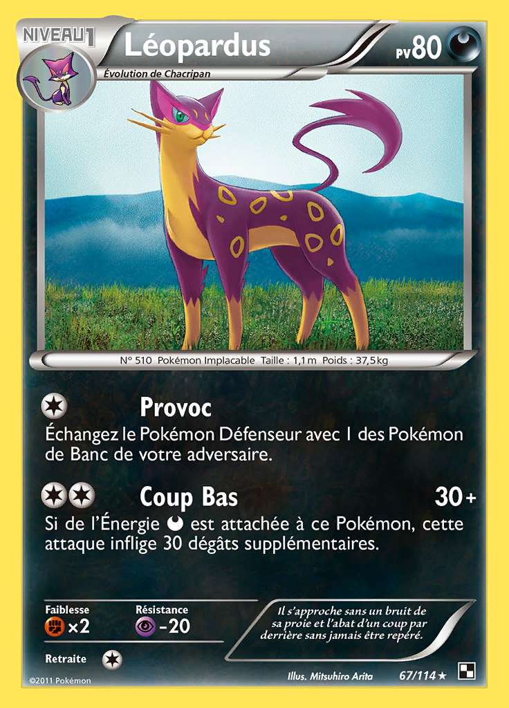 Léopardus 067/114 — Noir et Blanc