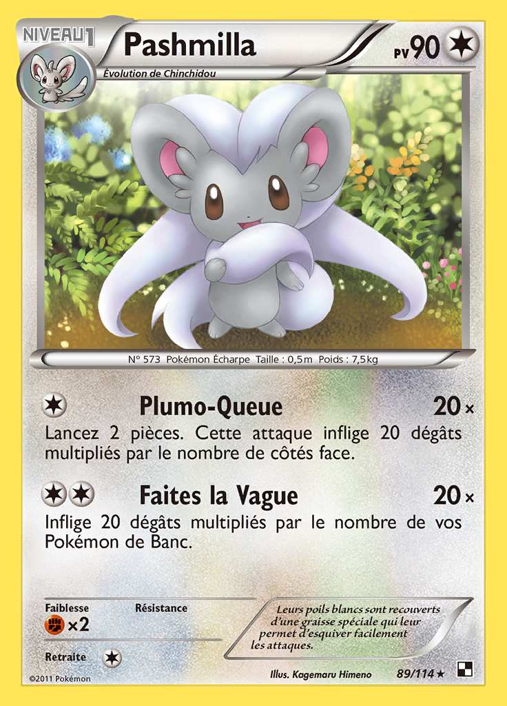 Pashmilla 089/114 — Noir et Blanc