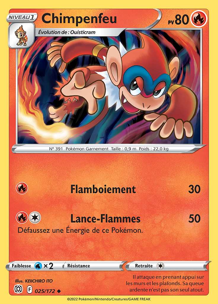 Chimpenfeu 025/172 — Stars Étincelantes