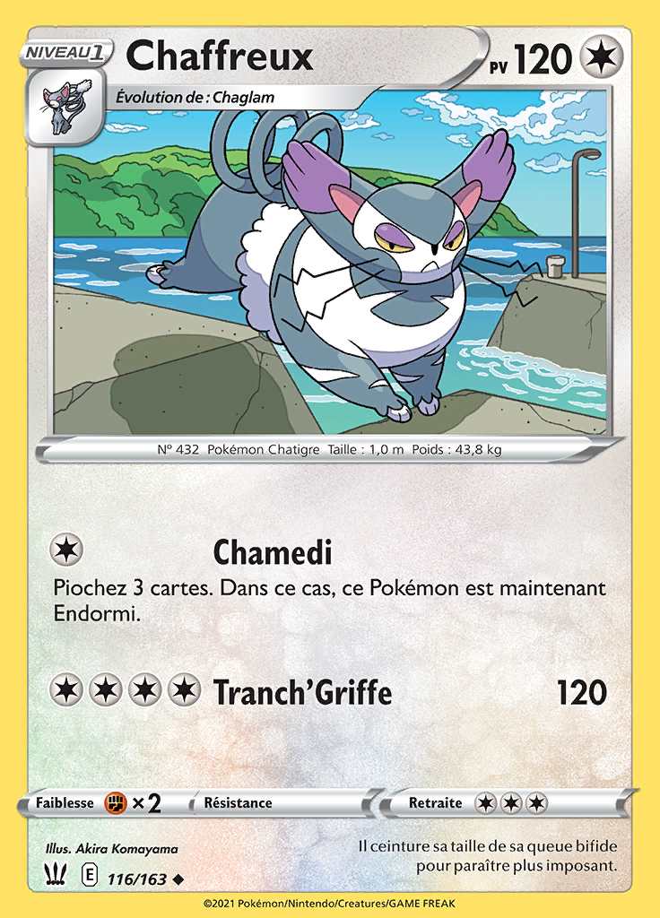 Chaffreux 116/163 — Styles de Combat