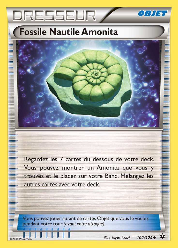 Fossile Nautile Amonita 102/124 — Impact des Destins