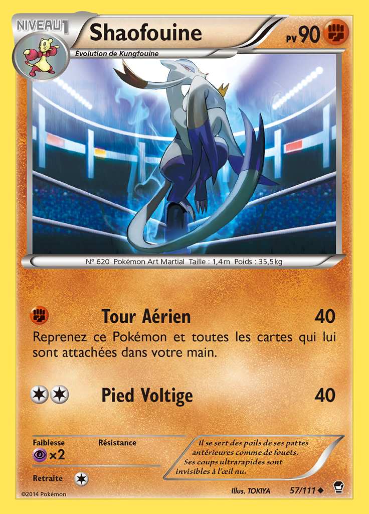 Shaofouine 057/111 — Poings Furieux