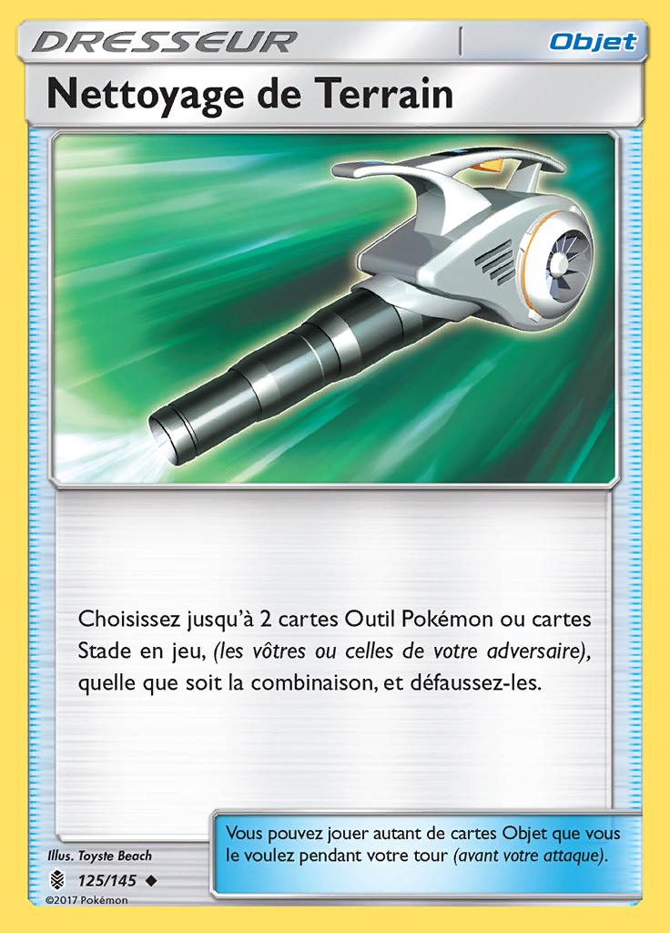 Nettoyage de Terrain 125/145 — Gardiens Ascendants