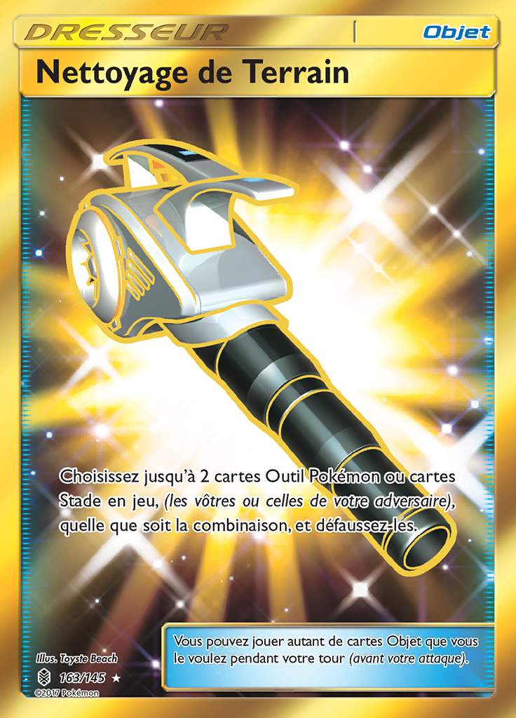 Nettoyage de Terrain 163/145 — Gardiens Ascendants