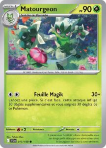 Matourgeon 017/159 — Aventures Ensemble