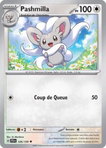 Pashmilla 126/159 — Aventures Ensemble