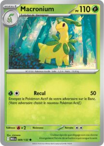 Macronium 009/132 — Méga-Évolution