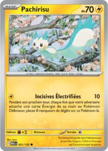 Pachirisu 051/132 — Méga-Évolution