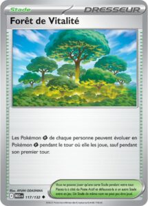 Forêt de Vitalité 117/132 — Méga-Évolution