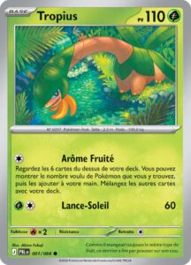 Tropius 001/084 — Nuit Noire