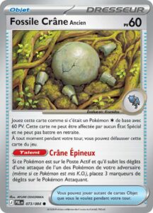 Fossile Crâne Ancien 073/084 — Nuit Noire