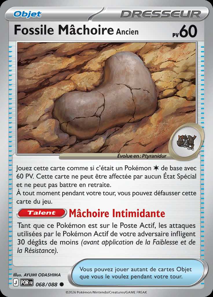 Fossile Mâchoire Ancien 068/088 — Équilibre Parfait