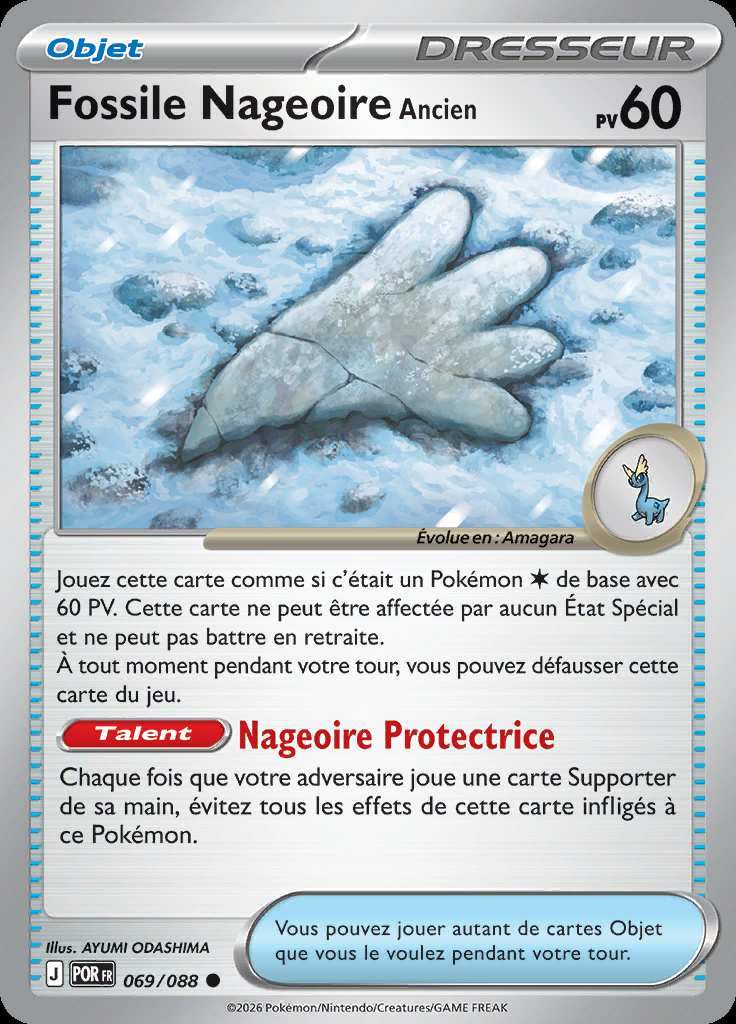 Fossile Nageoire Ancien 069/088 — Équilibre Parfait