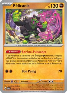 Félicanis 057/131 — Évolutions Prismatiques