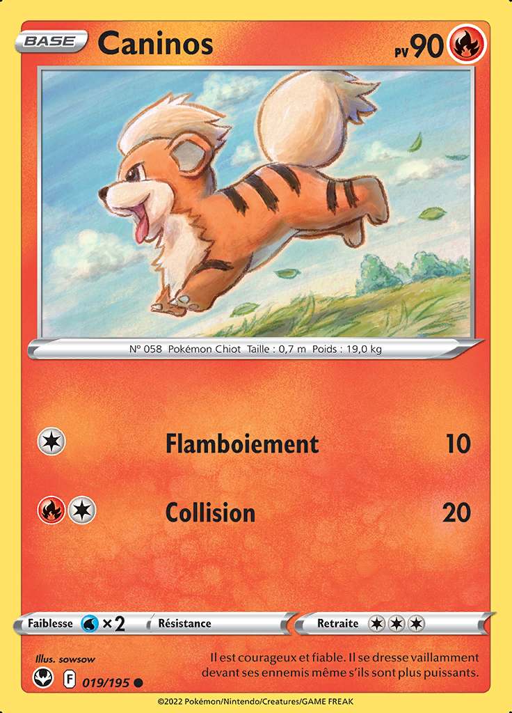 Caninos 019/195 — Tempête Argentée