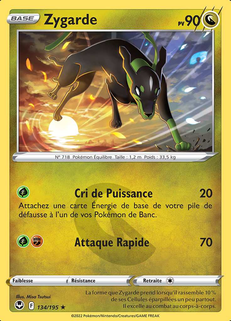 Zygarde 134/195 — Tempête Argentée