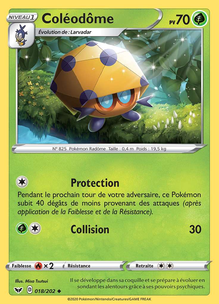 Coléodôme 018/202 — Épée et Bouclier