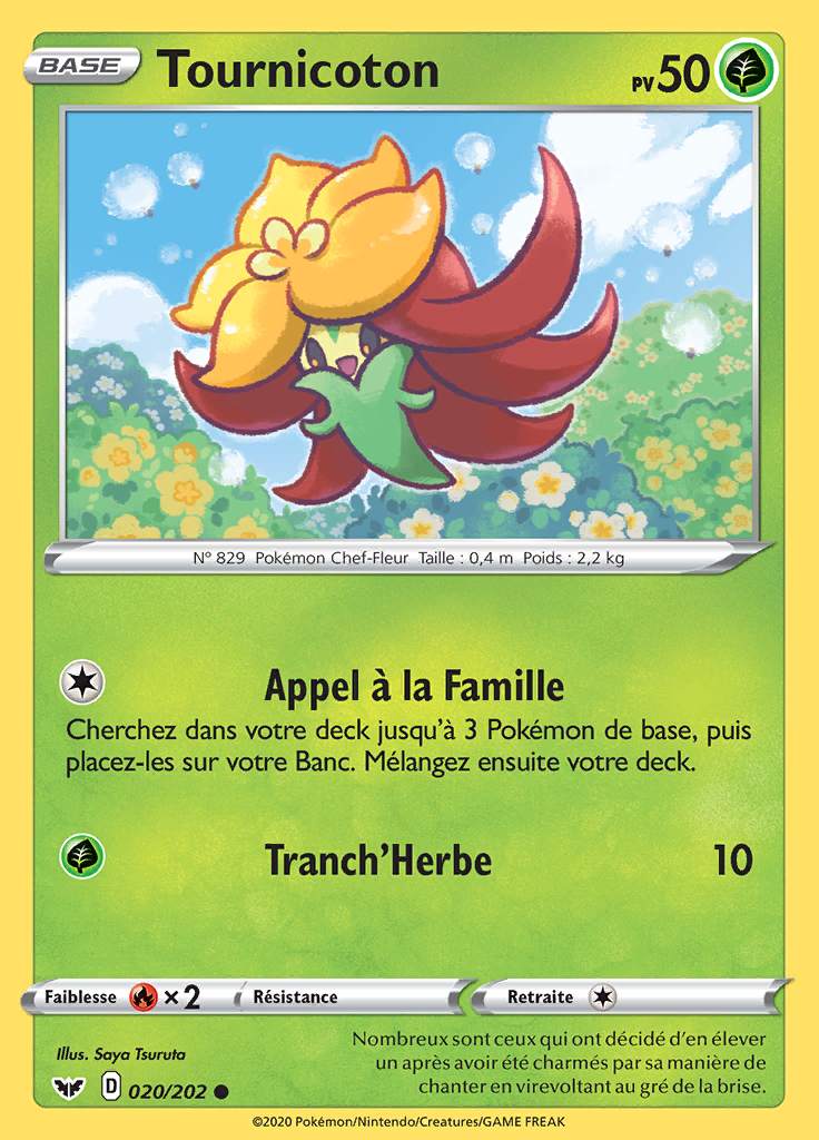 Tournicoton 020/202 — Épée et Bouclier