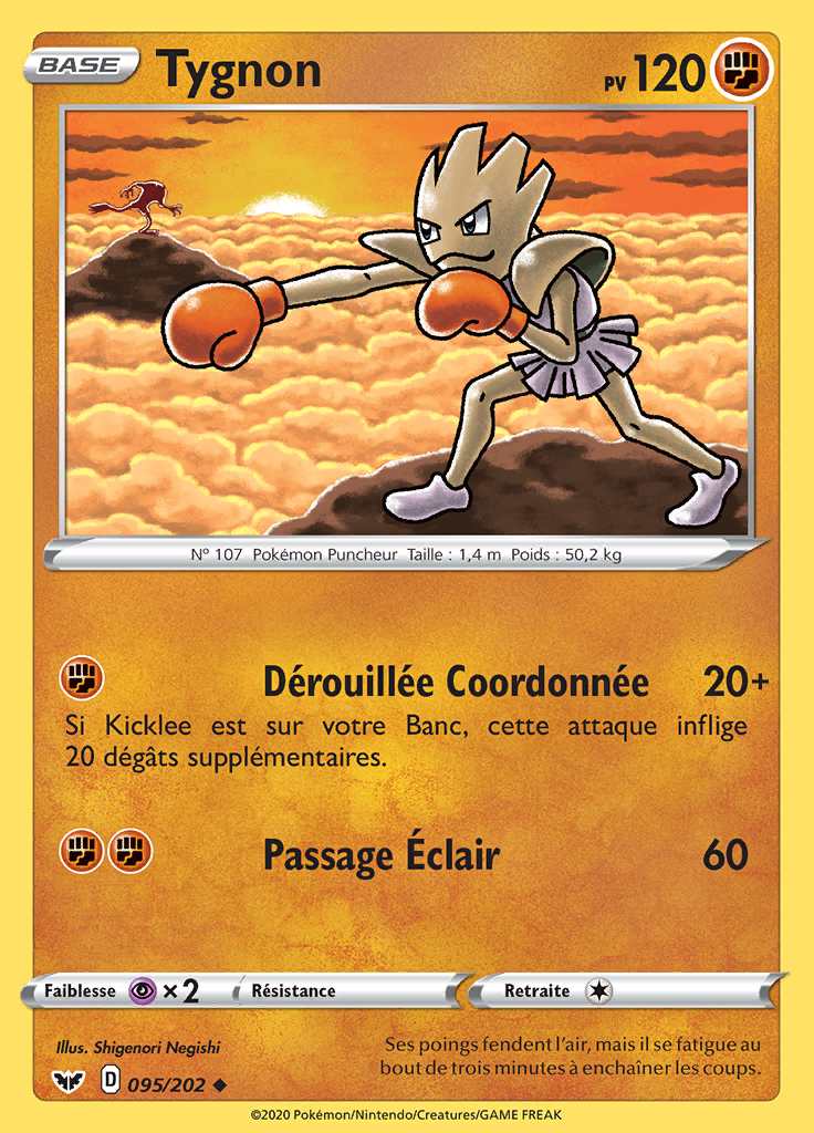 Tygnon 095/202 — Épée et Bouclier