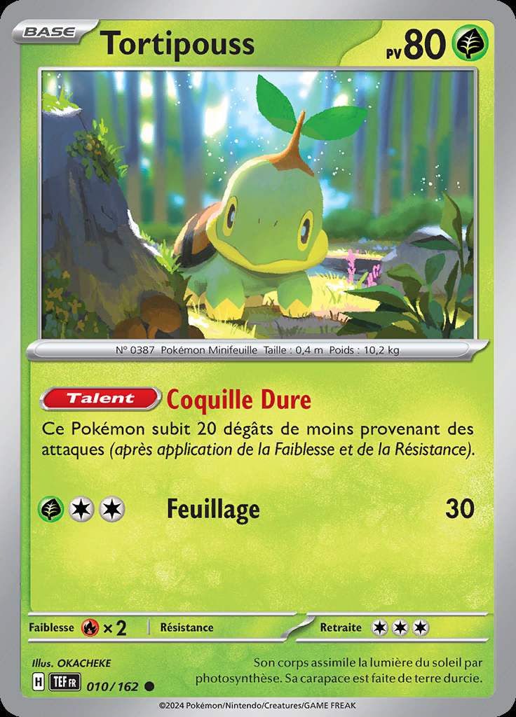 Tortipouss 010/162 — Forces Temporelles