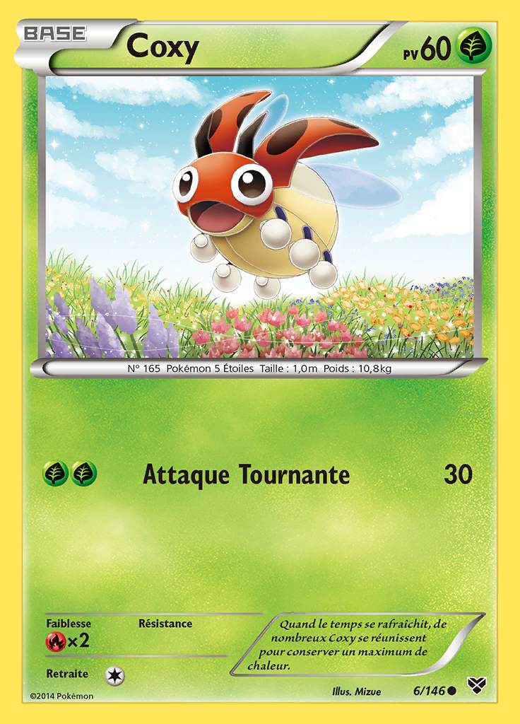 Coxy 006/146 — XY