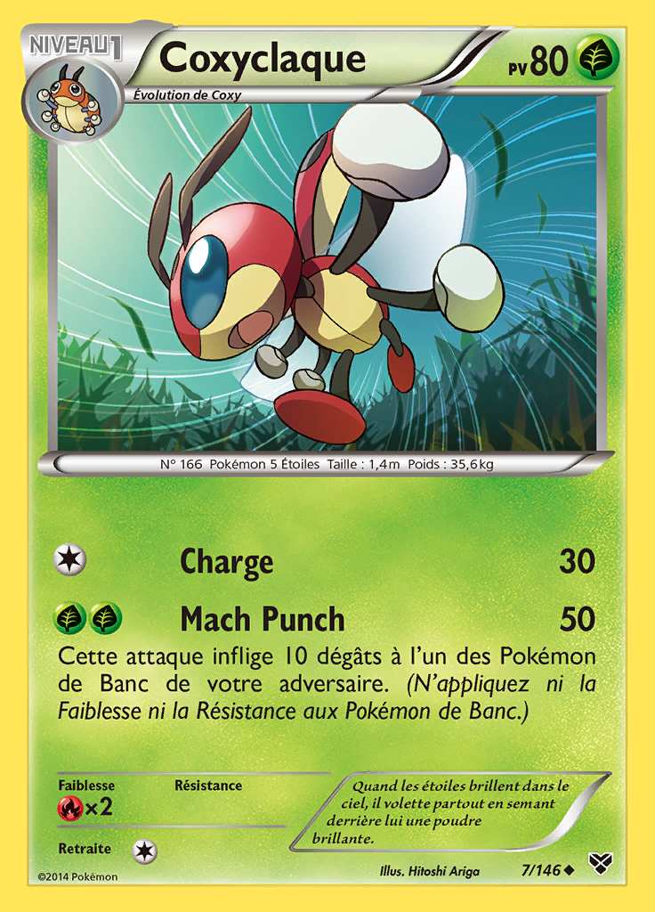 Coxyclaque 007/146 — XY