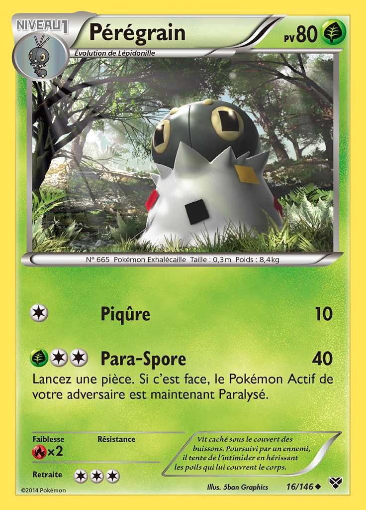 Pérégrain 016/146 — XY