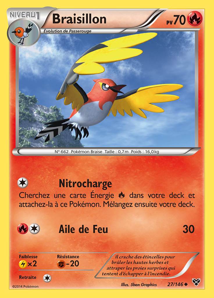 Braisillon 027/146 — XY