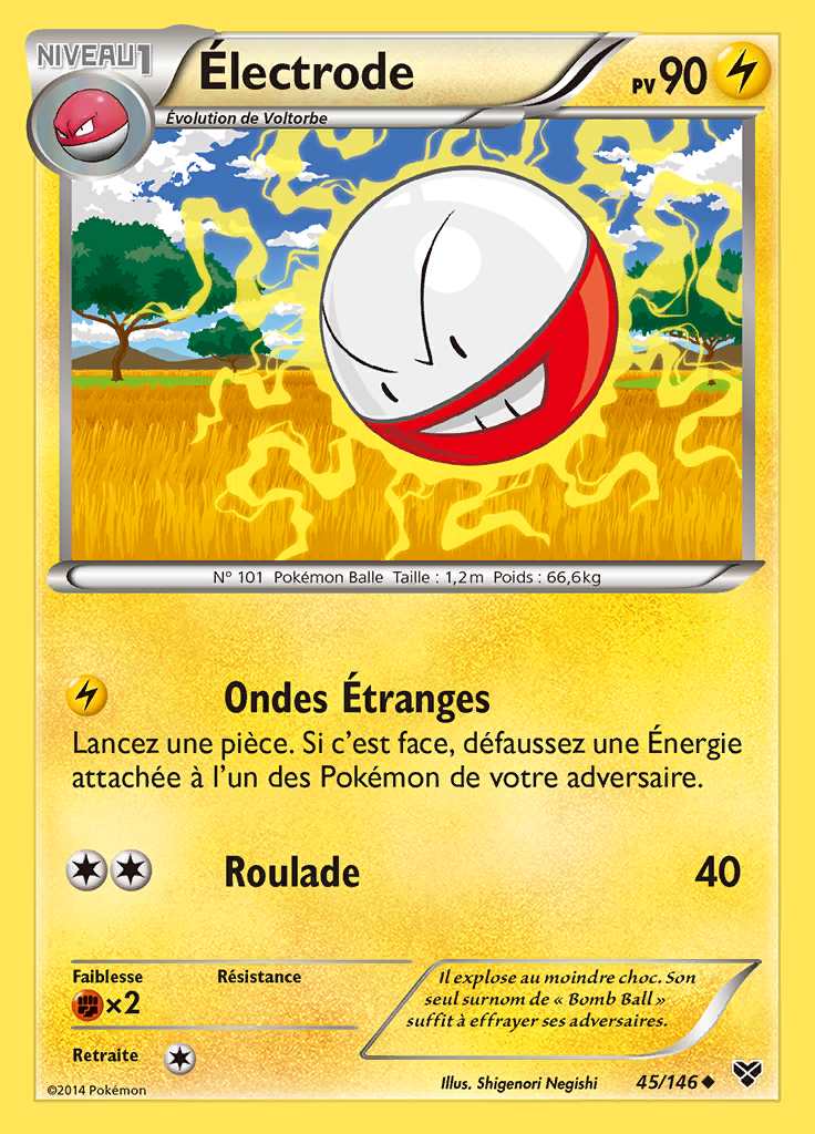 Électrode 045/146 — XY