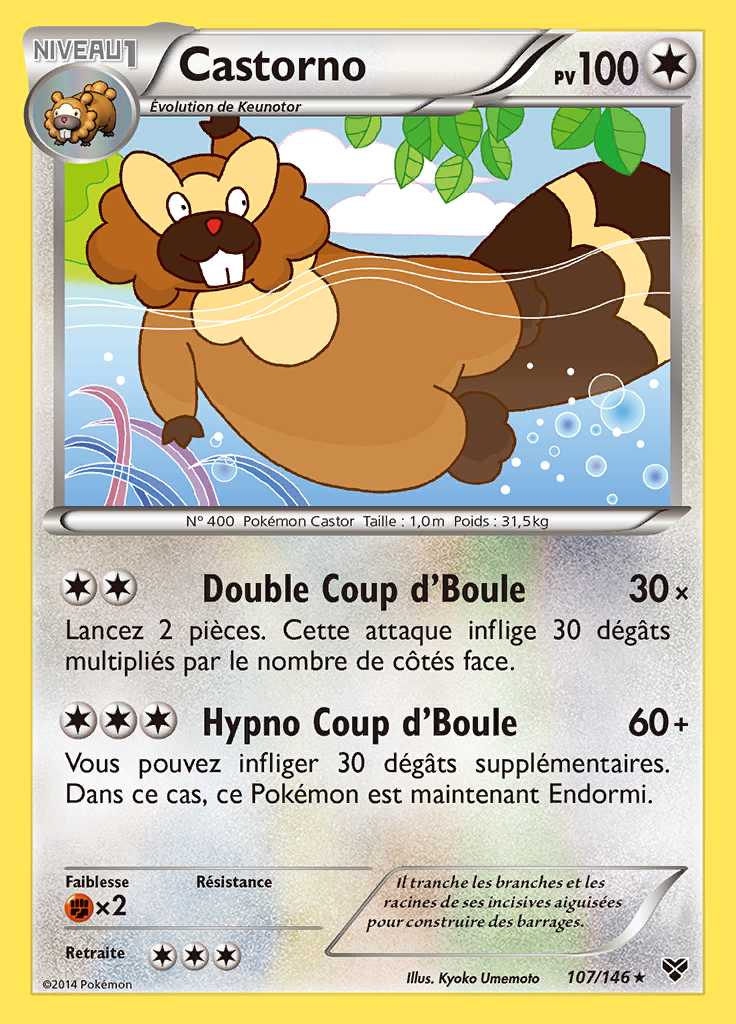 Castorno 107/146 — XY