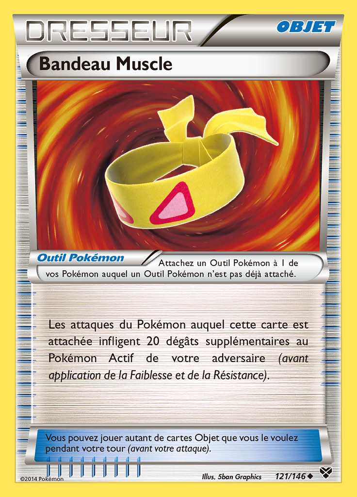 Bandeau Muscle 121/146 — XY